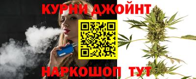 гашик Новодвинск